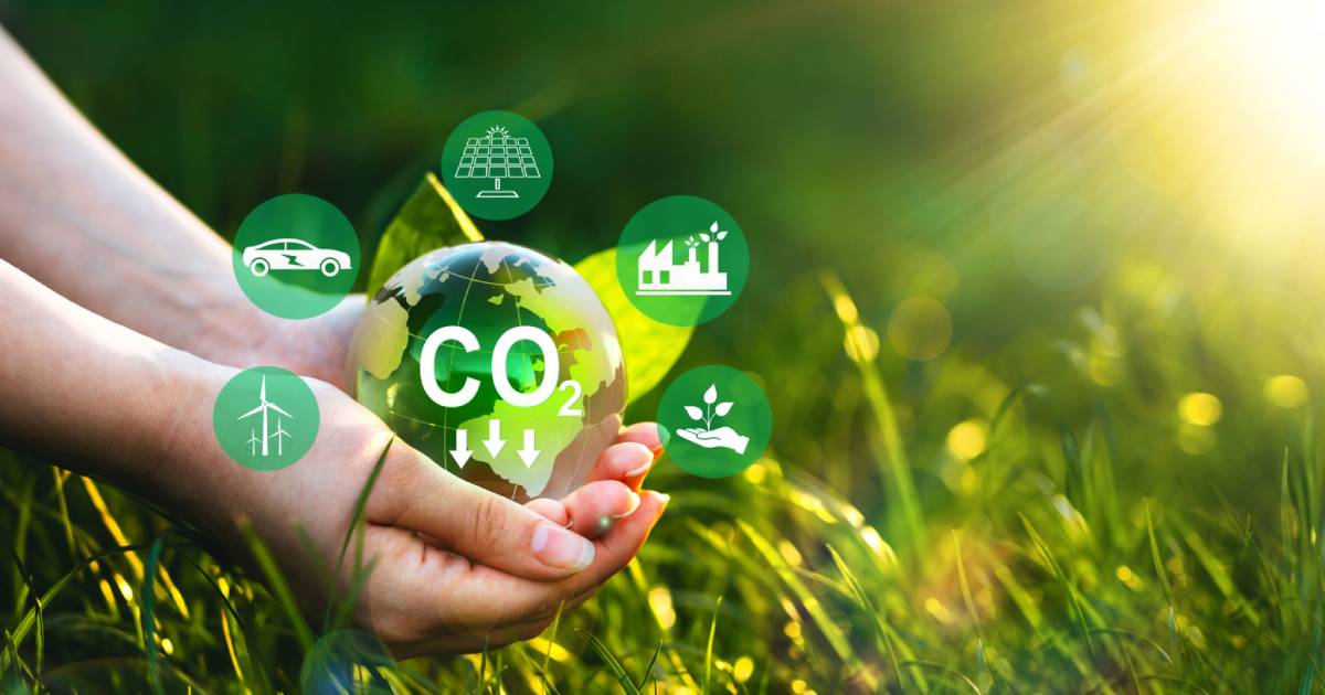 Obtaining Net Zero Emissions in the Industrial Sector