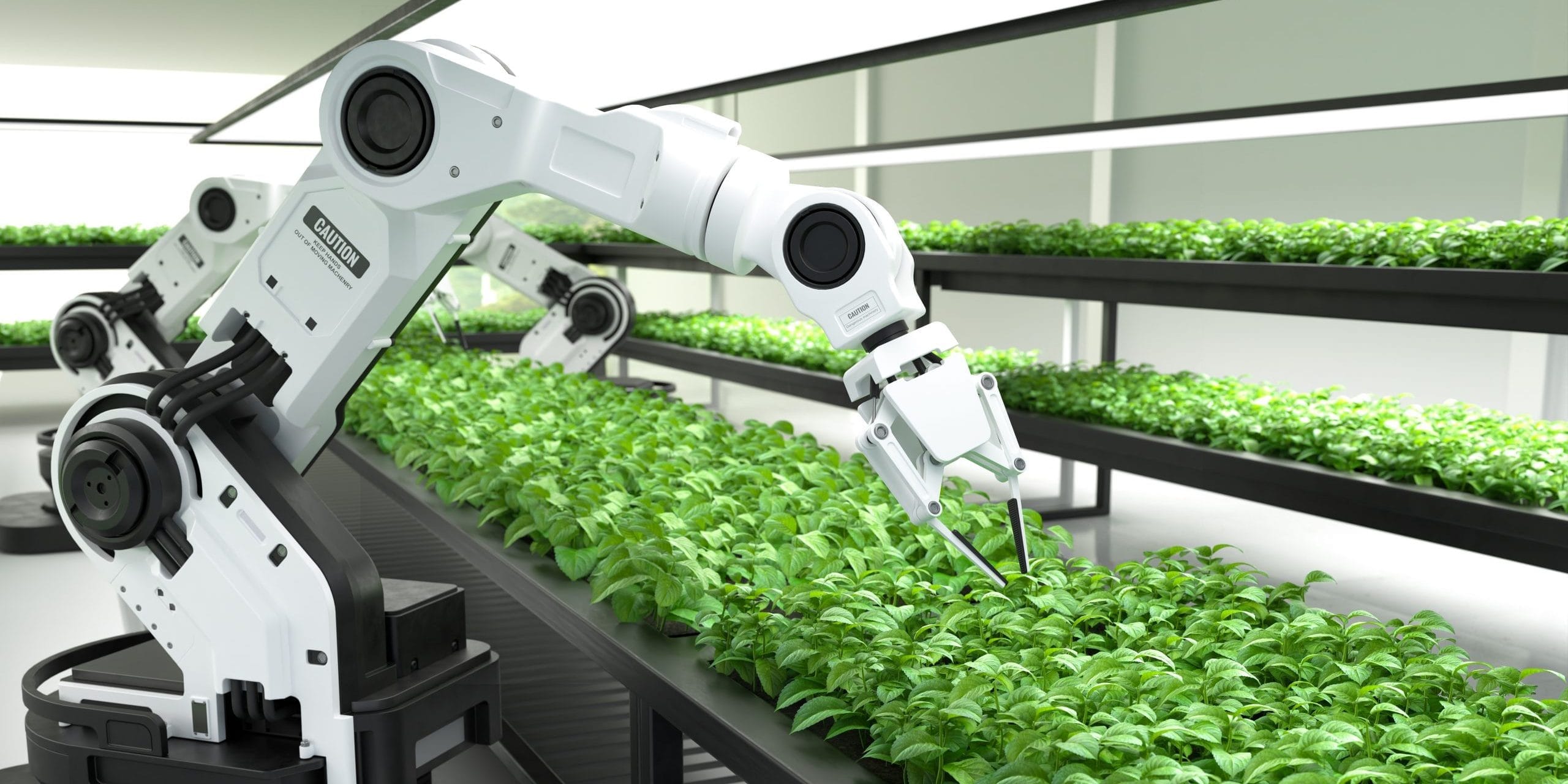 The Impact of Greenflation on Manufacturing Sustainable Production