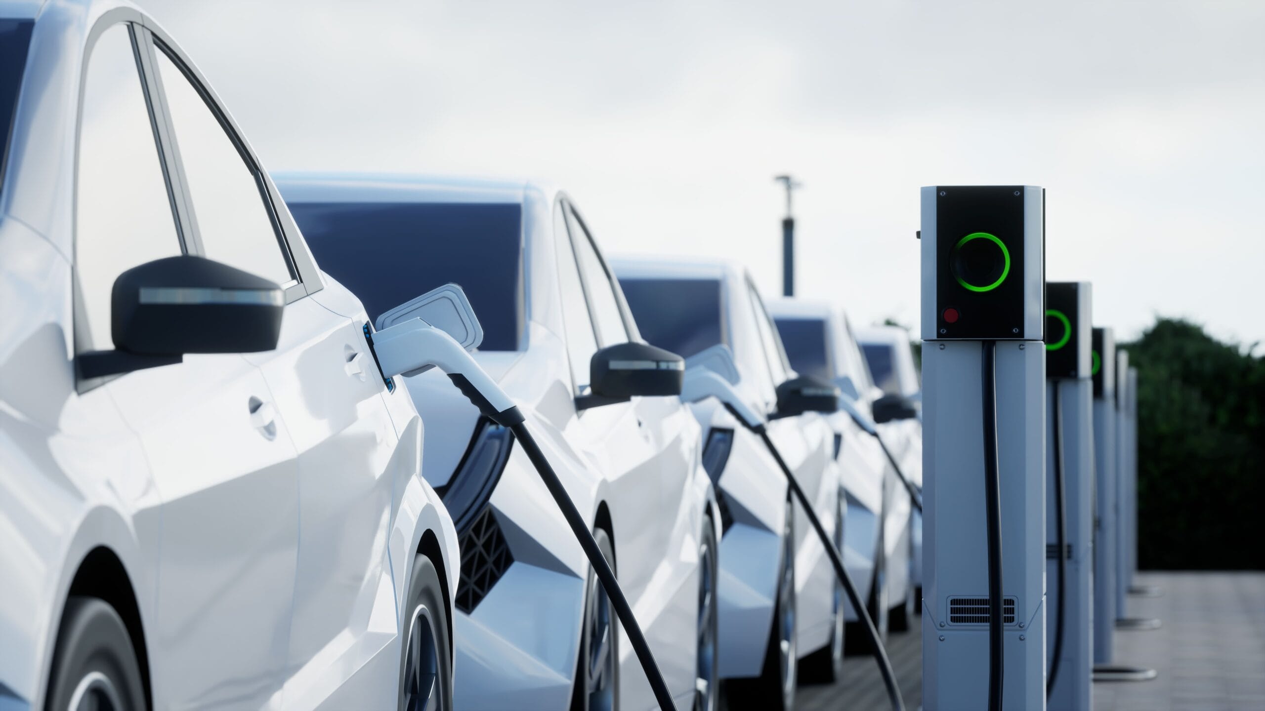 The Rise of Electric Vehicle in Indonesia
