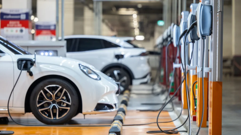 EV Ecosystem